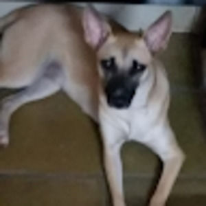 Meet your Posher, Ernesto